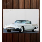 Металлическая табличка Packard Hawk